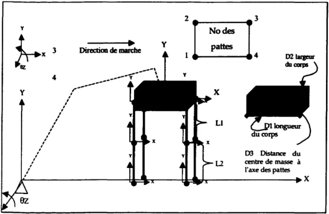 Figure 2.4  Définition des systèmes d'axe pour le robot Haedus 