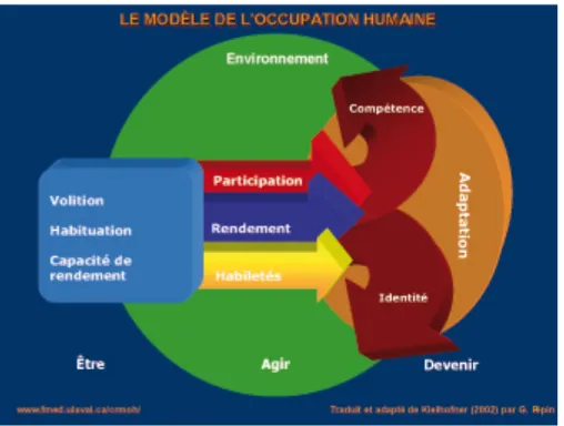 Figure 1 : Schéma du modèle de l’occupation humaine (Kielhofner, 2009) 
