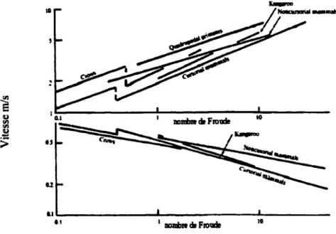 Figure 10  Similitude des énergies de différentes espèces [65]. 