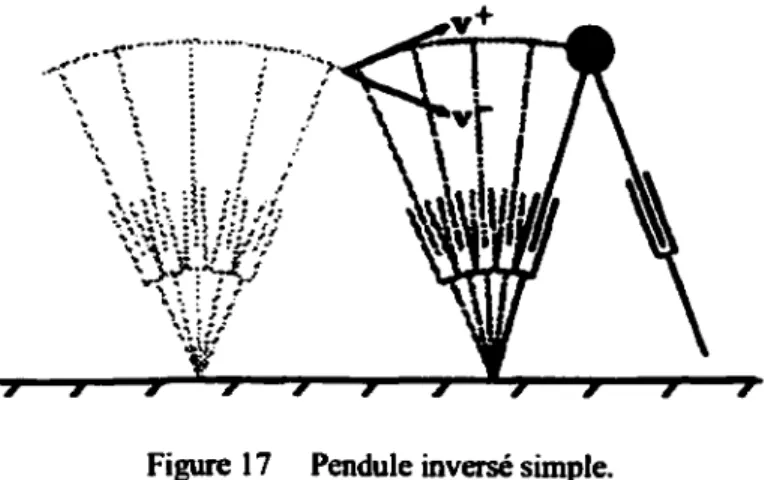 Figure 17  Pendule inversé simple. 