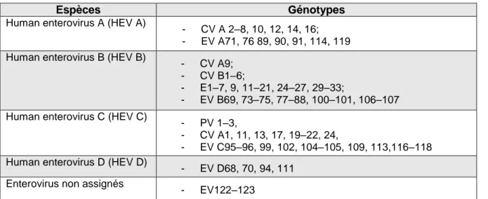 Tableau 1: Classification des entérovirus humains (selon l'International Committee on Taxonomy of Viruses) 