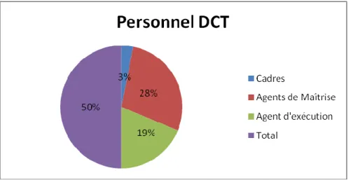 Figure N°4b: Pourcentage des employés de la DCT par rapport à l'effectif total de l'en- l'en-treprise 