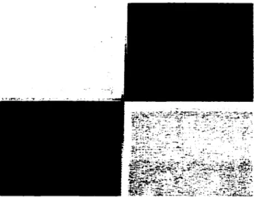 Figure  10  Matrice d'application de l'opérateur Laplacien. 