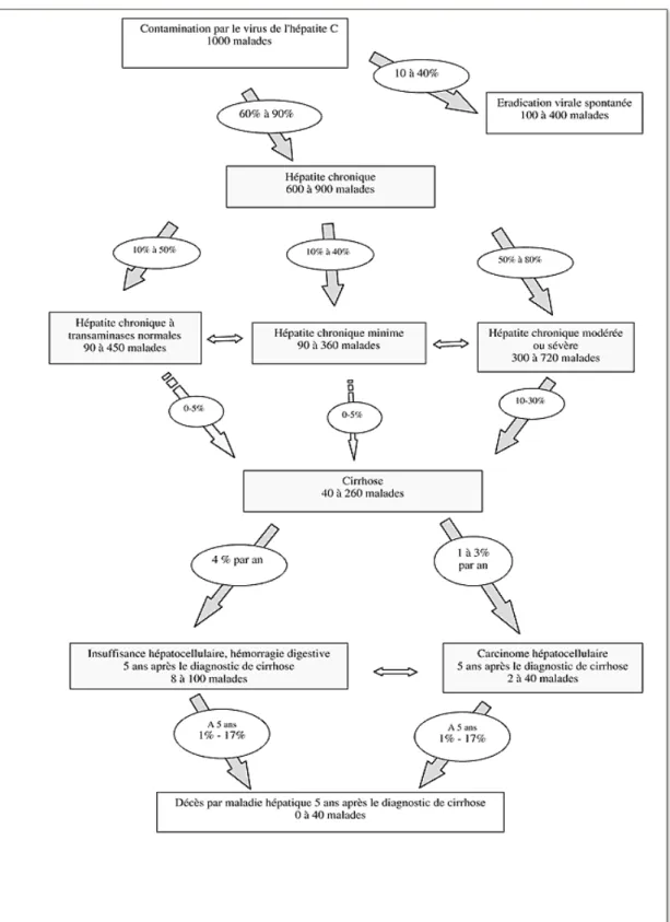 Figure 2 : Représentation schématique de l’histoire naturelle de l’infection par le VHC (19) 