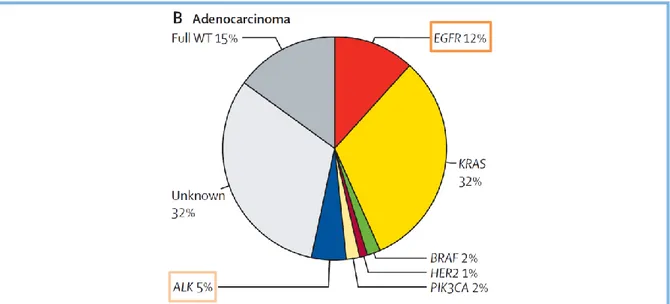 Figure 1. Classification moléculaire des adénocarcinomes pulmonaires  (Barlesi et al,  Lancet, 2016) 