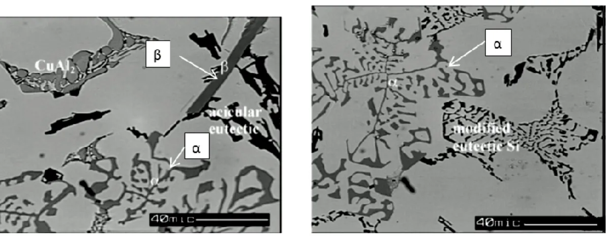 Figure  2.9   Optical micrographs obtained from an as-cast 319 alloy showing the morphology of  β-Fe and α-Fe intermetallic phases