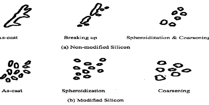 Figure  2.18  Schematic  diagram  showing  change  of  eutectic  Si  particles  morphology  during  solution heat treatment: (a) non-modified and (b) modified Al-Si cast alloys