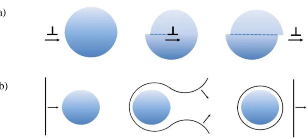 Figure  2.20  Schematic  representation  of  dislocation  movement  according  to:  (a)  Friedel  effect  and (b) Orowan-looping mechanism