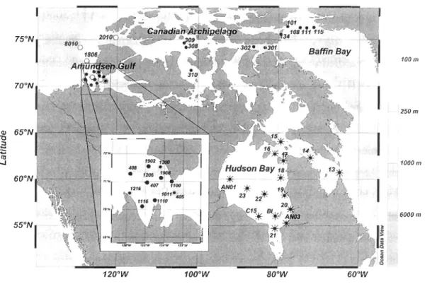 Figure  1.  Location  of sampling  stations  in  the  Canadian  High  Arctic  and  Hudson  Bay  system  during:  *  faU  2005, •  faU  2007  and  0  spring/summer  2008