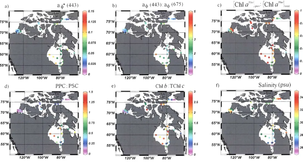 Figure  5.  Spatial  variations  of the  (a)  total  ChI  a-specific  phytoplankton  light  absorption  coefficient  '4*(443),  (b)  blue-to-red  ratio  '4(443) :alj&gt;(675) ,  (c)  relative  proportion  of  picophytoplankton,  (d)  ratio  of  photoprotec