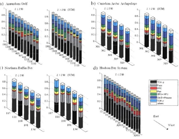 Figure 7. Relative contribution of the main marker pigments to total pigment concentration  (weight-to-weight)  in  the  (a)  northern  Baffin  Bay,  (b)  Canadian  Arctic  Archipelago,  (c)  Amundsen  Gulf and  (d)  Hudson  Bay  system  for  surface  (Z :