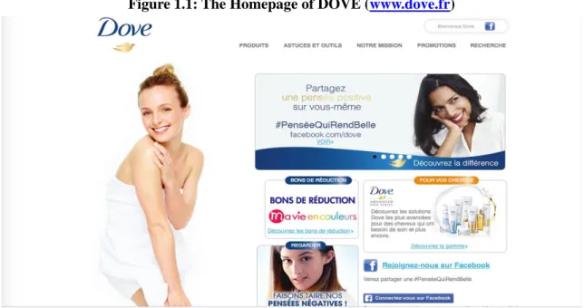 Figure 1.1: The Homepage of DOVE (www.dove.fr) 