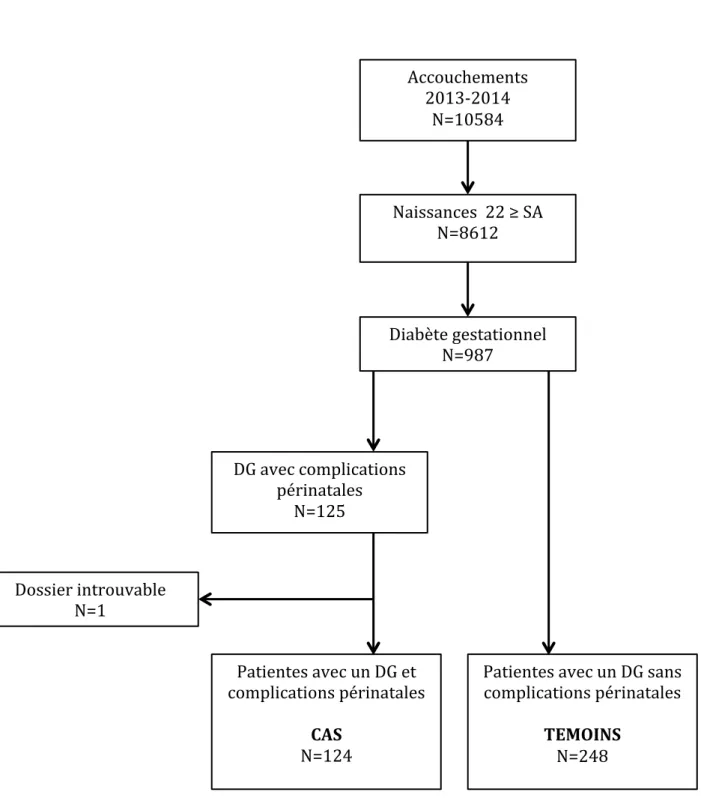 Figure 3 : Diagramme de flux  Accouchements   2013-2014  N=10584  Diabète gestationnel  N=987  DG avec complications  périnatales  N=125 