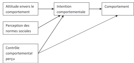 Figure 5: Modèle théorique du comportement planifié (Fishbein et Ajzen, 1975) 