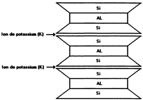 Figure 1.4 Schéma de la structure de /'//lite (Craig,  1987) 
