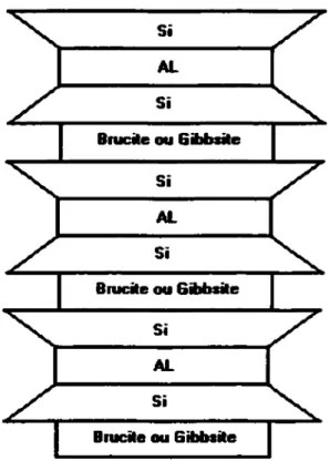 Figure 1.5 Schéma de la structure de la chlorite (Holtz,  1991) 