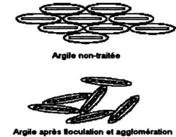 Figure 1.8 Floculation et agglomération d'une argile traitée à la chaux  Le  résultat  des  deux  premières  réactions  (échange  cationique  et  floculation/agglomération)  se  reflète  par un  changement de  la  relation  entre  la  densité  et la  teneu