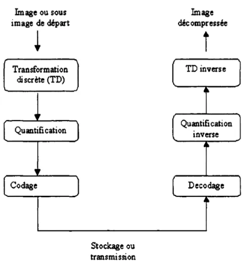 Figure 2.2  Schéma d'un codeur par transformée avec pertes d'informations  2.4.1  Transformée discrète 