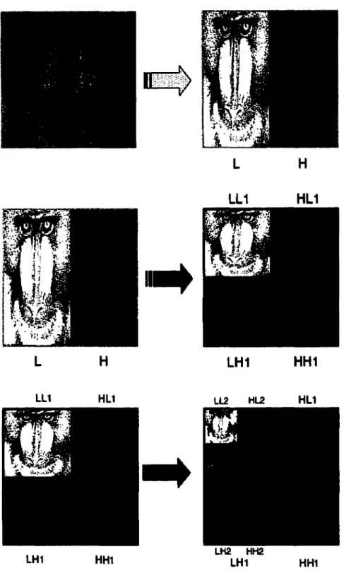 Figure 2.8  Décomposition en ondelette à deux étages de 'Mandrill' 