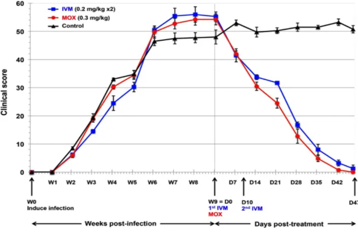 Figure 8. Evolution du score clinique d’infestation avant et après traitement par IVM, MOX et  placebo de porcs expérimentalement infestés par Sarcoptes scabiei 73