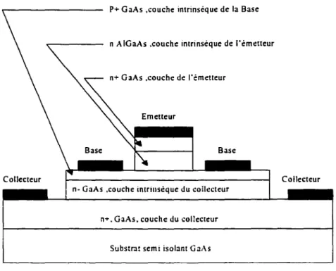 Figure 1.1  :  Coupe transversale d'un HBT. 