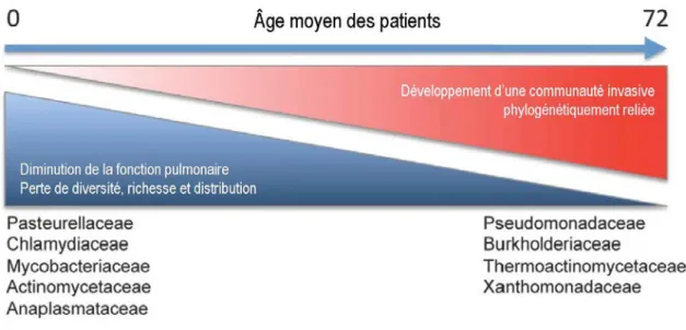 Figure 6 : Diversité du microbiote bactérien en fonction de l'âge chez le patient mucoviscidose