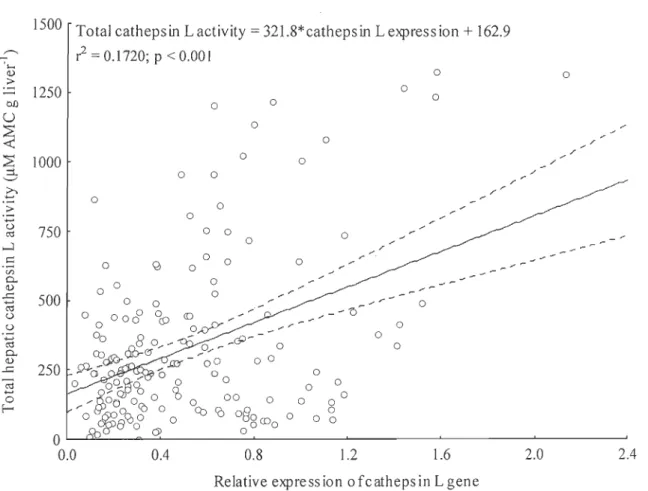 Fig. 3.3.  Correlation between relative expression of cathepsin L and total hepatic cathepsin  L activity; 