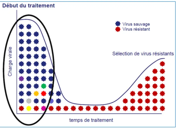 Figure 2 : Principe de la sélection de variants viraux résistants aux ARV (8) 