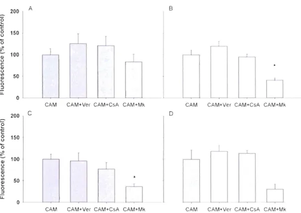 Figure  2.3  Flow  cytometric  measurement  of fluorescent  calcein  in  (A)  cœlomocytes  of  Strongylocentrotus  drœbachiensis,  (B)  cœlomocytes  of  Leptasterias polaris,  (C)  vibratile  cells  of  S