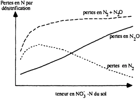 Figure 2.1. Schématisation de l'effet de la teneur en NÛJ- du sol sur les pertes cn N2 ct en N20 par dénitrification