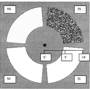 Figure 1: Configuration of visual field assessed