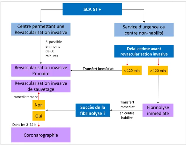 Figure  4  -  Algorithme  de  prise  en  charge  pré-hospitalière  et  hospitalière  de  revascularisation  dans  les  24  heures  d’un  SCA  ST  +  (adapté  des  recommandations  ESC  2012  (40) )