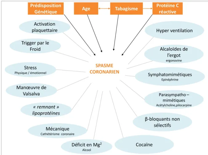 Figure 8 - Facteurs de risque  et facteurs précipitant le vasospasme coronarien,  Adapté  d’après  Hung  et al  (177) 