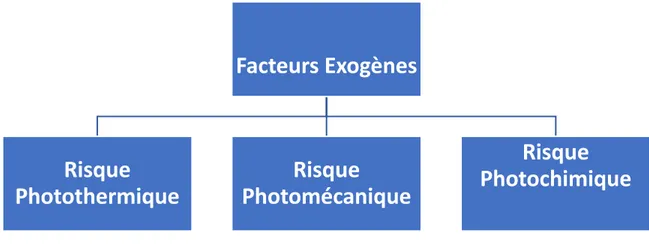 Fig 3. Représentation schématique des 3 causes lumineuses de pertes de vision. Pour chaque risque, des exemples  de source lumineuse à risque sont donnés