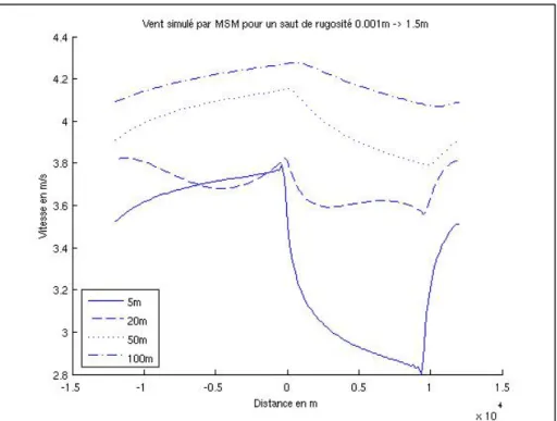 Figure 3.1 Saut de rugosité simulé par MSM. 