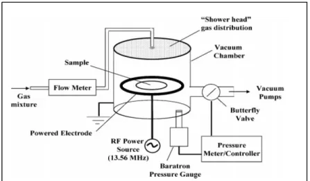 Figure 3.2 Schematic view of low pressure plasma reactor  used in the fabrication of LP  