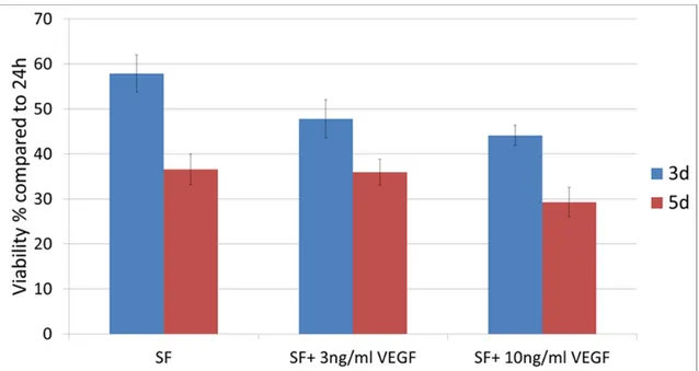Figure 4.3 Effect of VEGF on hMSC viability after 3 and 5 days in serum free (SF)  medium (cells source = Lonza)