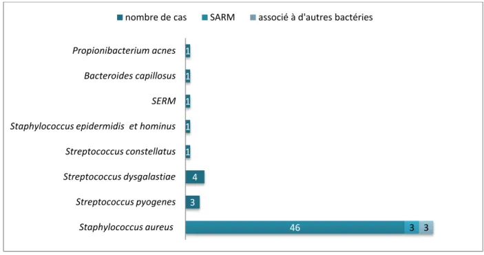 Figure 3: Bactéries causales isolées dans 64 des 89 cas étudiés. 