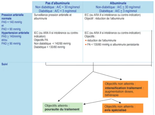 Figure 3. Stratégie de traitement médical du contrôle de la pression artérielle et de la  réduction de l’albuminurie chez le patient ayant une maladie rénale chronique