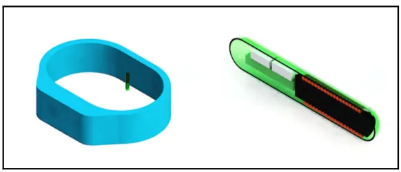 Figure 2.1 Concept du bracelet et de l’implant biomédical 