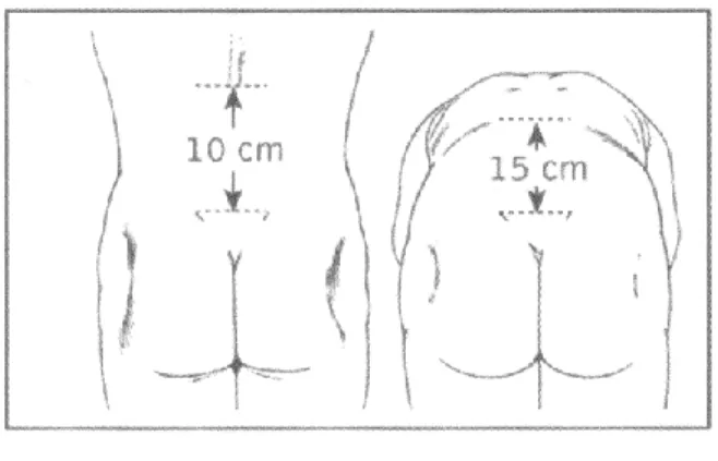 Figure 4 : Test de Schober.  