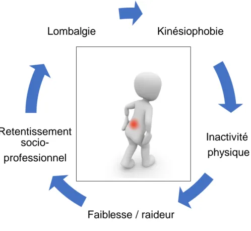 Figure 8 : Le modèle biopsychosocial 