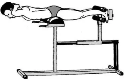 Figure 9 : Test de Sorensen 