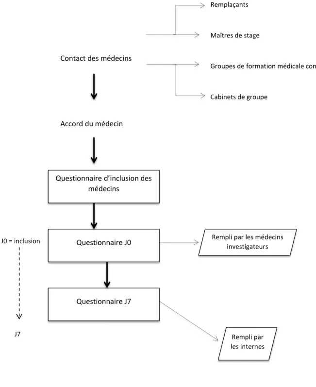 Figure 1 : Flow Chart « Recueil des données ».    