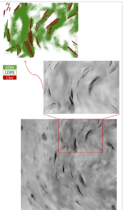Figure 3-5 TEM micrograph of LDPE/SEBS/5C   (schematic phase representation on top) 