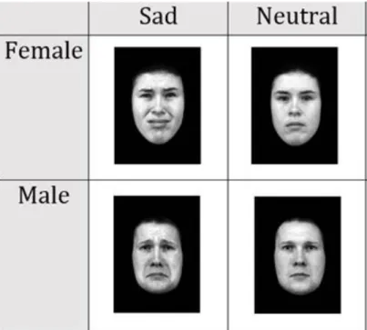 Figure 3. Examples of the stimuli used in this project. The faces were  retrieved from the Karolinska Directed Emotional Faces (KDEF; 