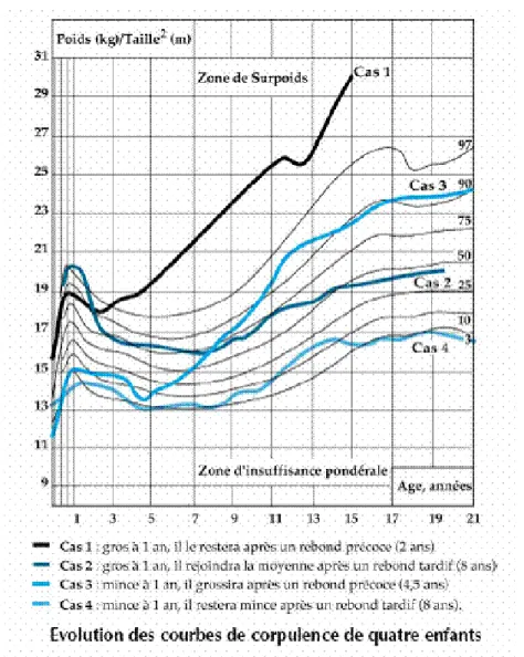 Figure 1. Représentation graphique de 4 types d’évolution de la corpulence de la naissance à  l’âge adulte  (24)