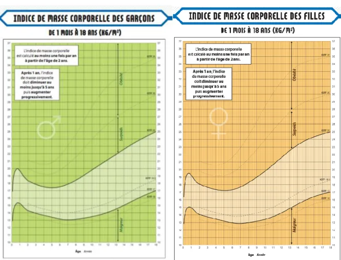 Figure 4.Courbe d’IMC du carnet de santé 2018 de 1 mois à 18 ans, à gauche les garçons et à  droite les filles 