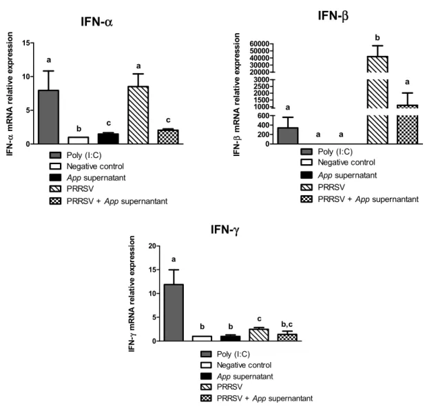 Figure 2: Type I and II IFN mRNAs relative expression in PAM cells treated with App cell  culture supernatant