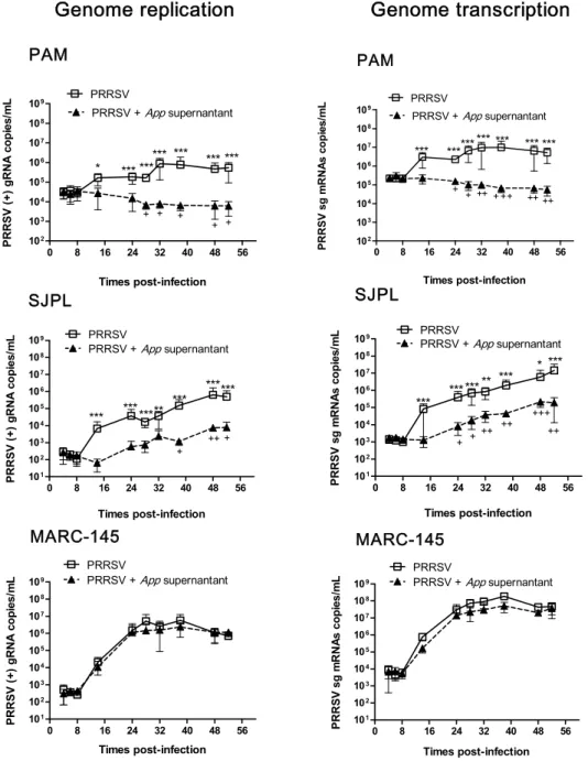 Figure 3: PRRSV genome replication and transcription kinetics assays in infected cells treated  with App cell culture supernatant